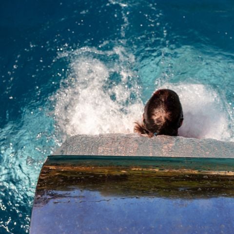 Camping La Truffière - Camping Lot - Image N°3