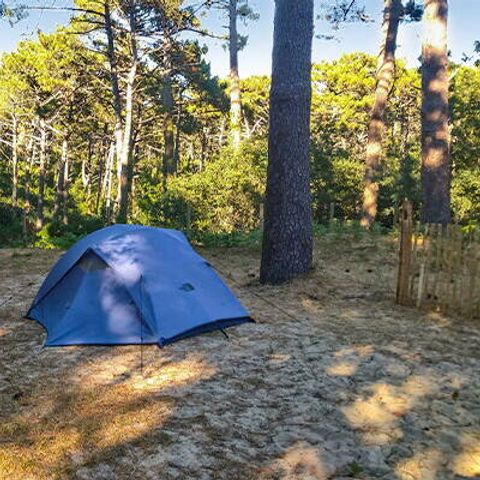 STAANPLAATS - Standplaats | Comfort | Tent | Voertuig +7m | 100m² - 120m² | Elektriciteit | Geen water