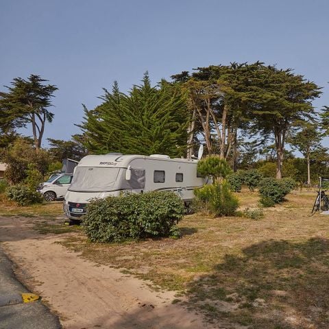 Camping Homair La Côte Sauvage  - Camping Charente-Maritime