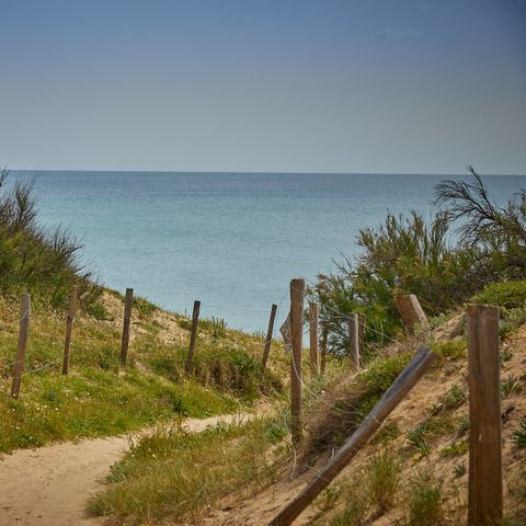 Camping La Côte Sauvage  - Camping Charente-Maritime