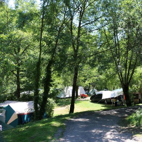 Stellplatz - Stellplatz Komfort (Strom inbegriffen)