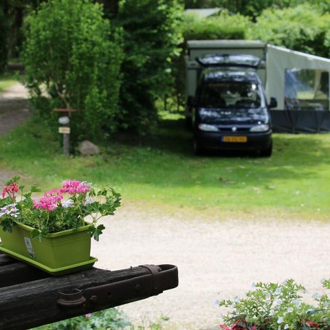 STAANPLAATS - Comfort standplaats (elektriciteit inbegrepen)