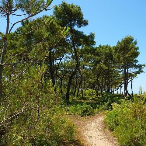 Camping Le Suroit Camping Le Suroit - Camping Charente-Maritime - Image N°20