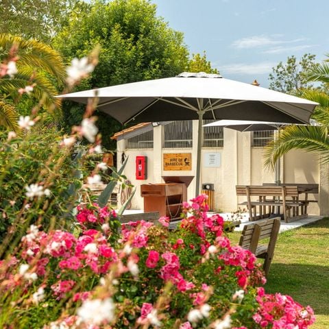 Camping Les Catalpas de Royan - Camping Charente-Maritime - Image N°4