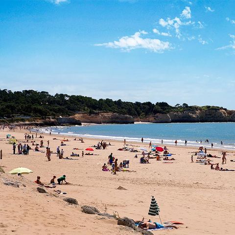 Camping Tohapi Les Catalpas Camping Tohapi Les Catalpas - Camping Charente-Maritime - Image N°11