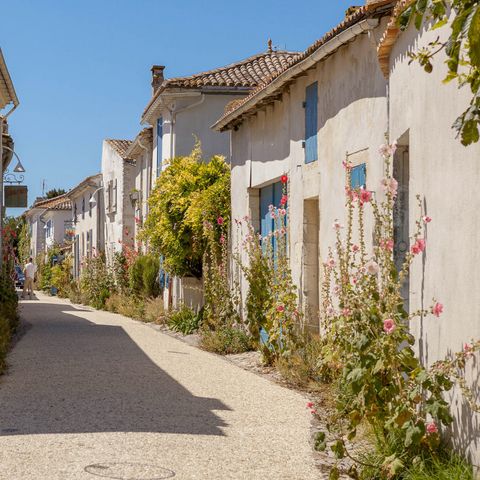 Camping Tohapi Les Catalpas Camping Tohapi Les Catalpas - Camping Charente-Maritime - Image N°8