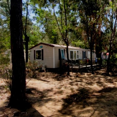 Mobile home 3 persons - 3 PRM seats