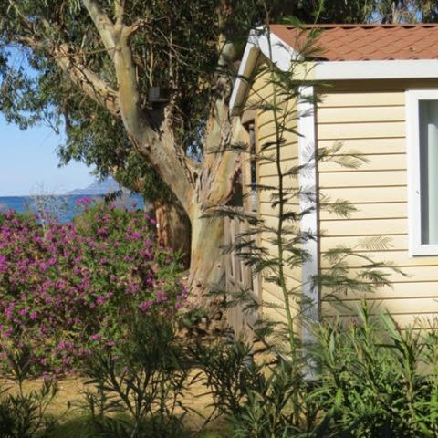 Camping U pezzo Camping U pezzo - Camping Corse du nord - Image N°12