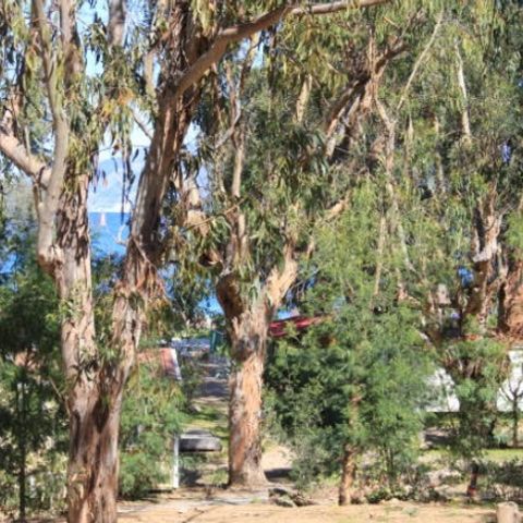 Camping U pezzo Camping U pezzo - Camping Corse du nord - Image N°17