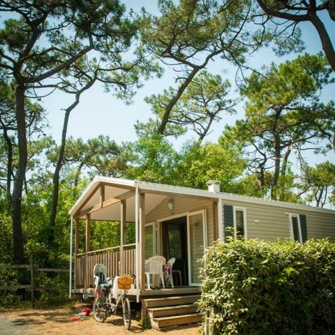 CASA MOBILE 4 persone - ECO Casa mobile 2bed. LUDISIA (oltre 10 anni) 24 m² + Terrazza semicoperta 4 pers.