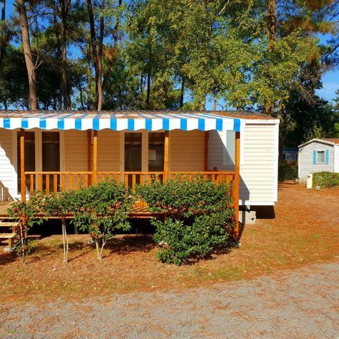 Mobilheim 4 Personen - PREMIUM