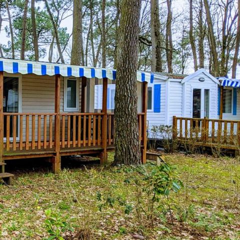 CASA MOBILE 4 persone - PREMIUM