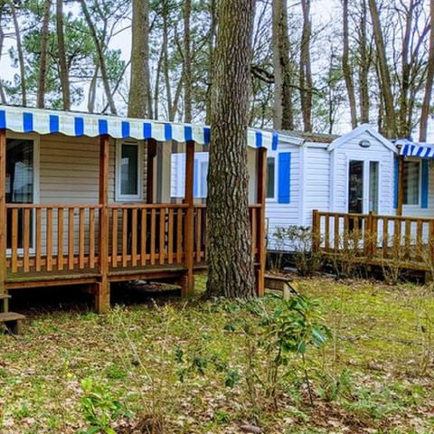 MOBILHOME 4 personnes - PREMIUM