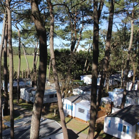Camping L'Orée des Pins Camping L'Orée des Pins - Camping Vendée - Image N°16