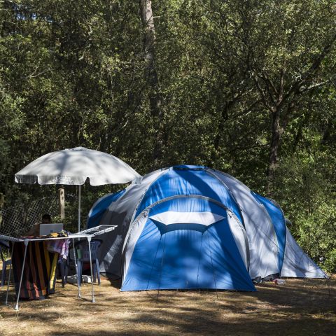 Kampeerplaats - Comfortpakket (1 tent, caravan of camper / 1 auto / elektriciteit) 2/6 pers.