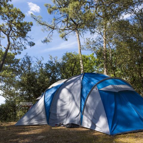 PLOT - Nature package (1 tent, caravan or camper / 1 car) 2/6 pers.