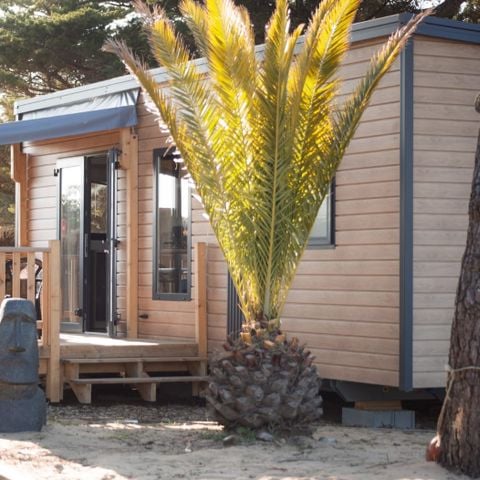 MOBILHOME 4 personnes - TIMOE LODGE