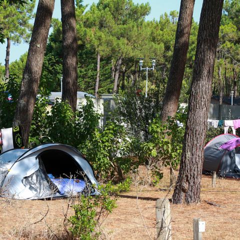 Pitch - Package: SITE + 2 people + 1 car + 10A electricity