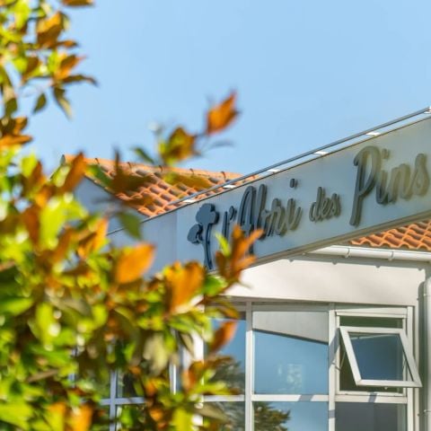 Camping L'Abri des Pins - Camping Vendée - Image N°3