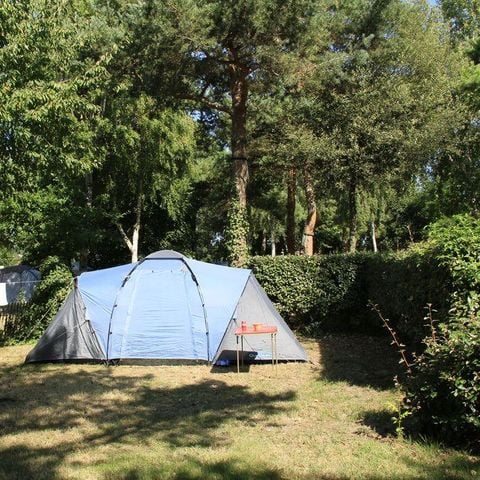Kampeerplaats - Standplaats voor tent + 1 auto + elektriciteit 10A + water 2/6 pers