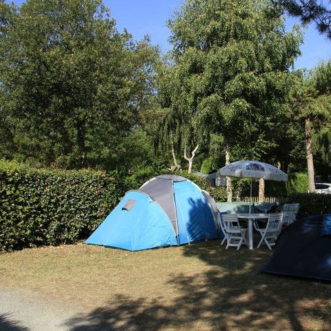 Kampeerplaats - Standplaats voor tent + 1 auto + elektriciteit 10A + water 2/6 pers