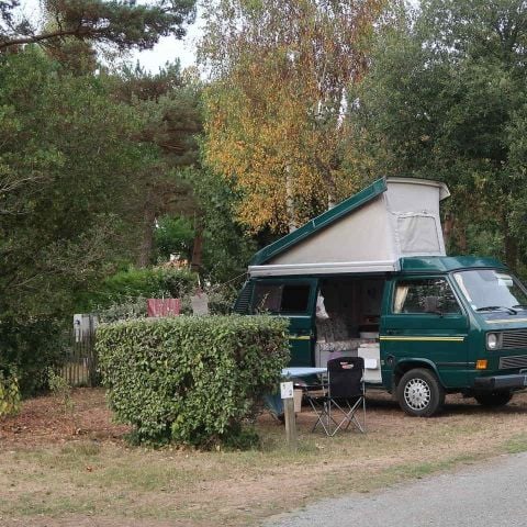 Kampeerplaats - Kampeerplaats auto + 10A elektriciteit + water 2/6 pers