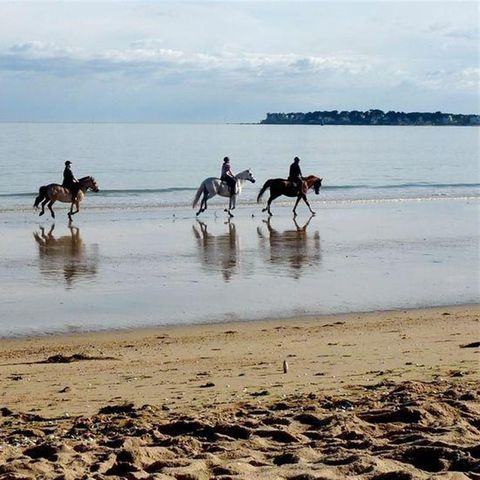 Atlantic 2000 sur Camping Acapulco Atlantic 2000 sur Camping Acapulco - Camping Vendée - Image N°39