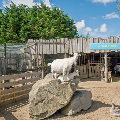 Camping La Grand Métairie - Camping Paradis - Camping Vendée - Image N°5