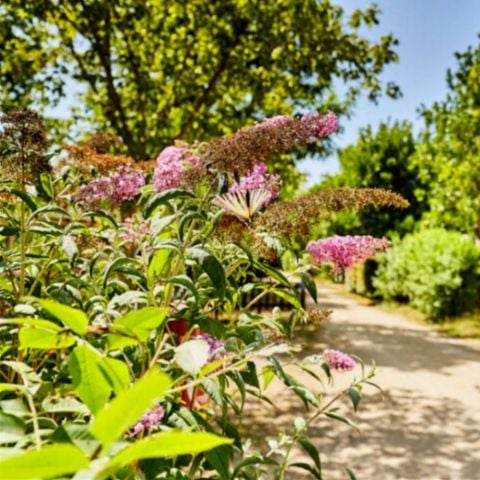 MOBILHOME 6 personnes - CONFORT