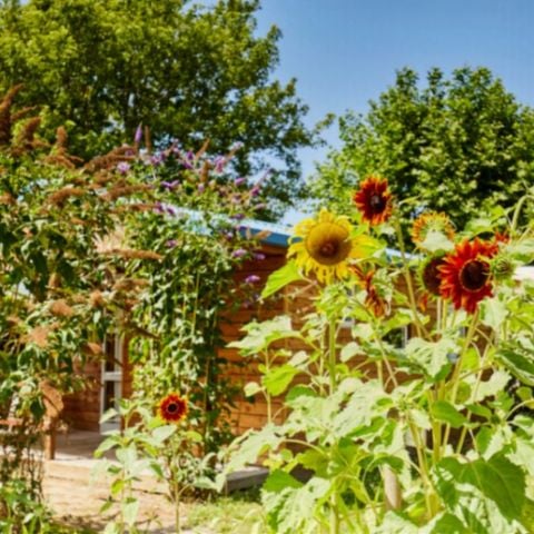 MOBILHOME 4 personnes - COTTAGE CONFORT