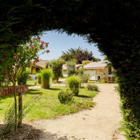 Tente en toile et en bois 4 personnes - QUARTIER PIETON