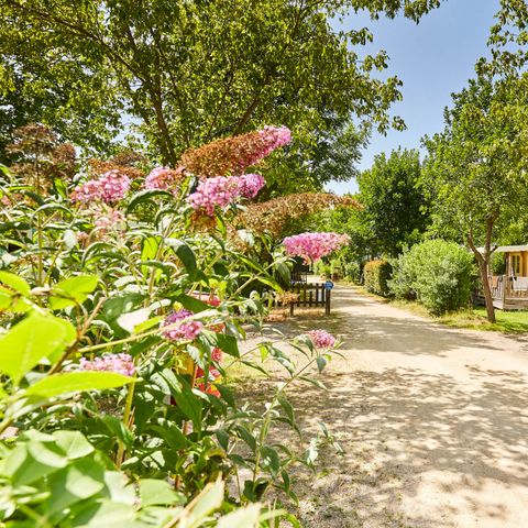 Mobile home 3 persons - PREMIUM COTTAGE