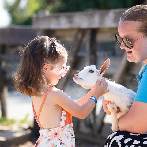 Camping La Grand Métairie - Camping Paradis - Camping Vendée - Image N°6