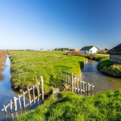 Camping La Parée du Jonc Camping La Parée du Jonc - Camping Vendée - Image N°37