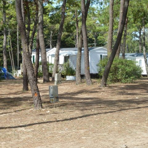 Camping Les Samaras Camping Les Samaras - Camping Vendée - Image N°18
