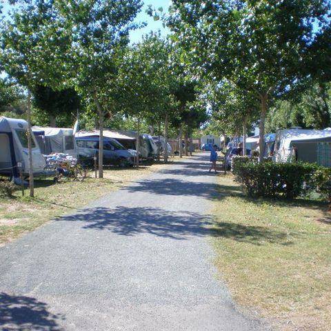 Stellplatz - Forfait Premium : Forfait 2 mit Sanitäranlagen + eigener Küche