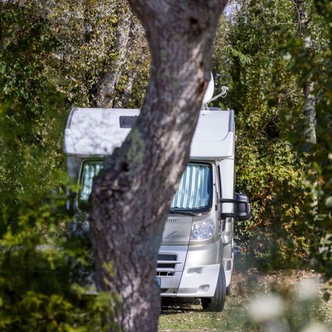 Stellplatz - Pauschale Confort : Stellplatz für Wohnwagen, Wohnmobil oder Zelt +1 Auto + Strom (10 A) 1/2 Pers.