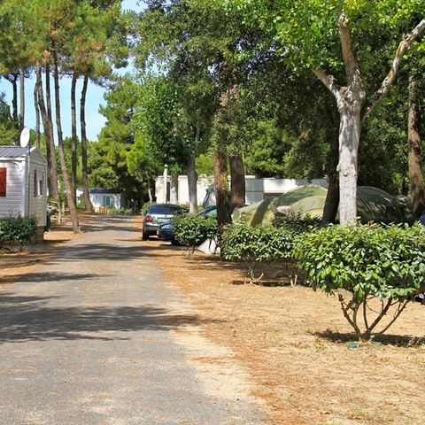 Camping Côté Plage Camping Côté Plage - Camping Vendée - Image N°23