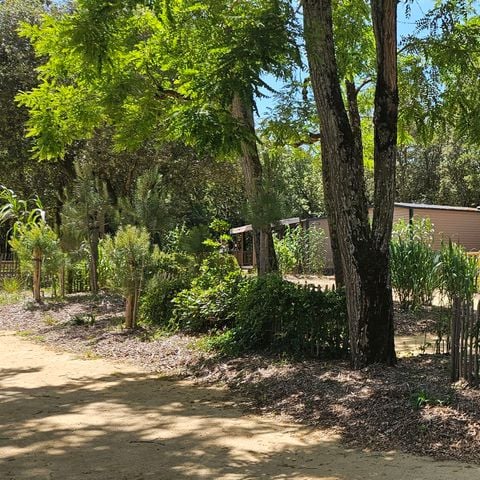 MOBILHOME 4 personnes - Cottage PREMIUM "TERRE et DUNE" - 32m² - terrasse bois semi-couverte - 2 chambres - Nouveauté 2024 4 pers