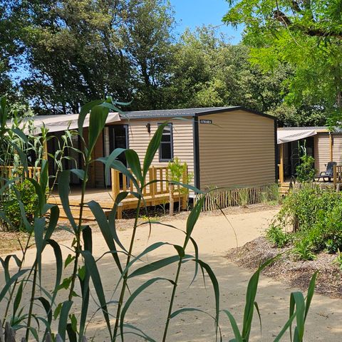 MOBILE HOME 4 people - PREMIUM Cottage "TERRE et DUNE" - 32m² - semi-covered wooden terrace - 2 bedrooms - New for 2024 4 pers