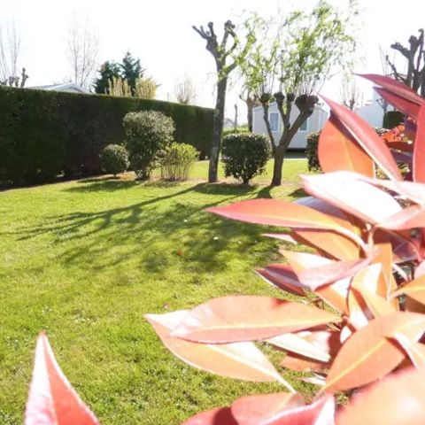 PIAZZOLA - Pacchetto comfort (1 tenda, roulotte o camper / 1 auto / elettricità 10A)