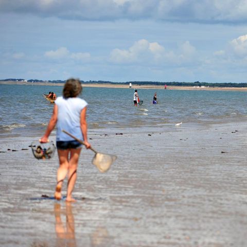 Camping Plein Sud Camping Plein Sud - Camping Vendée - Image N°56