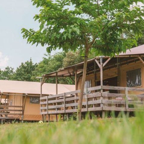Canvas and wooden tent 8 persons - Safari Lodge 8p