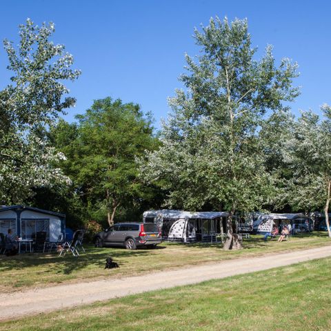 Stellplatz - Premium 160-250m² Abwasser+Wasser+Elektrizität