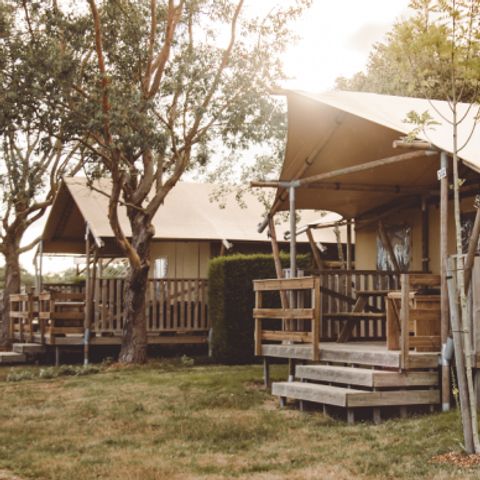 Canvas and wooden tent 7 persons - Safari Lodge