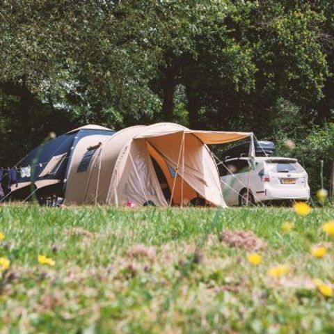 Kampeerplaats - Standaard 100-150m² TENT