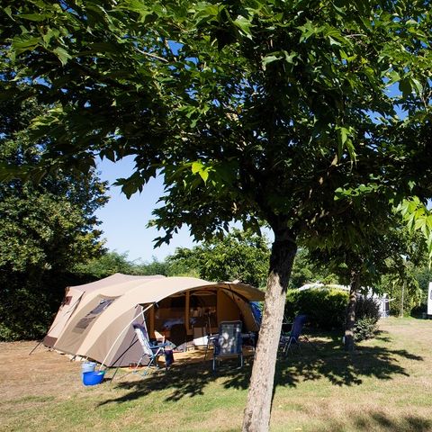 Pitch - Standard 100-150m² TENT