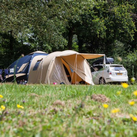 Stellplatz - Standard 160-250m² ZELT