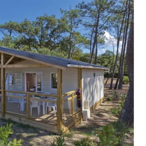 Chalet 6 personen - Chalet | Comfort XL | 3 Schlafz. | 6 Pers.
