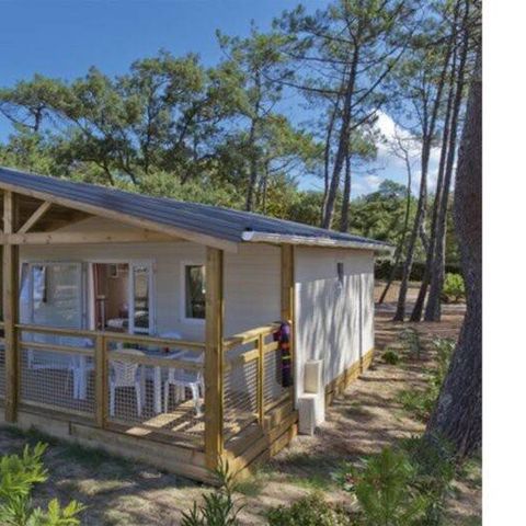 CHALET 6 people - Comfort XL | 3 Bedrooms | 6 Pers | Single terrace | 1 bathroom